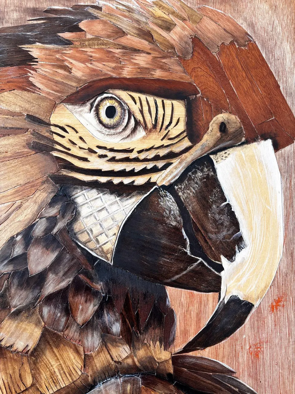 El silencio del plumaje, detalle 2