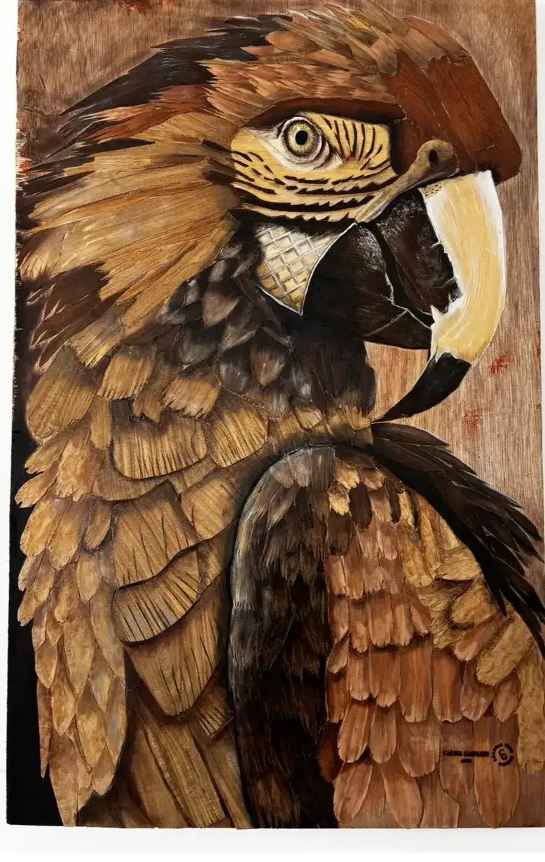 El silencio del plumaje, obra de Carina Gasparin