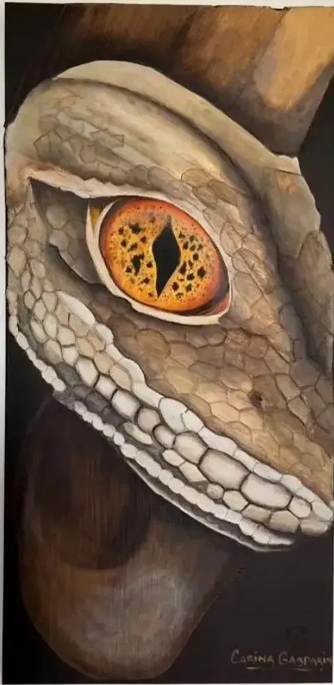 Observando, obra de Carina Gasparin