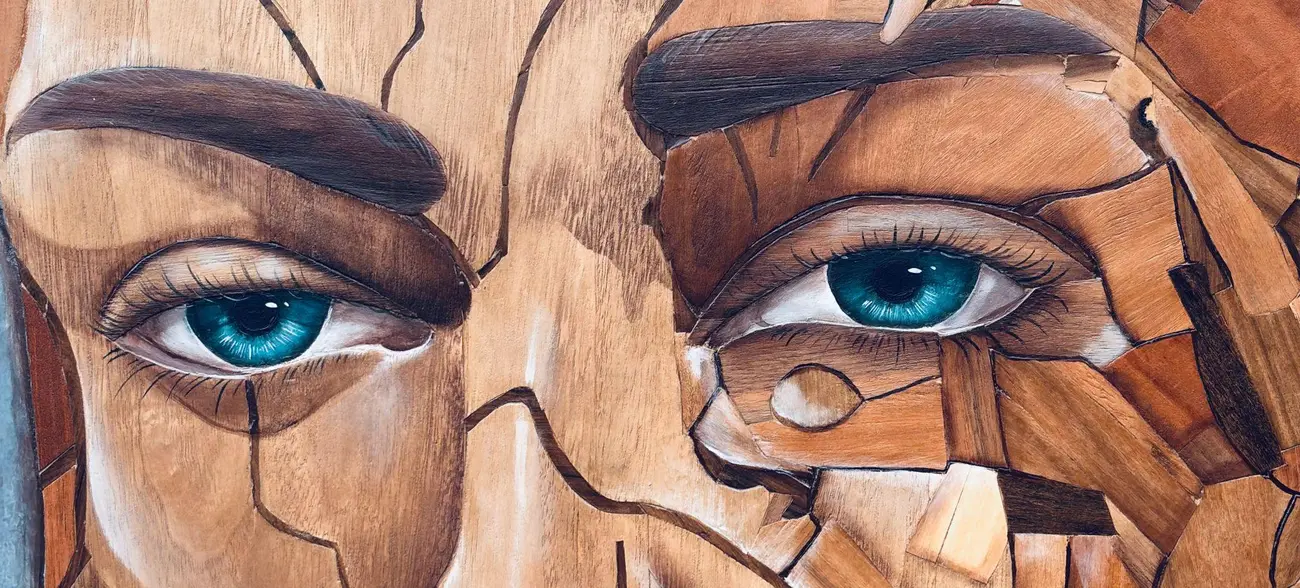 Fisuras de la mirada, detalle